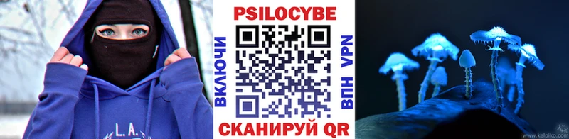 Псилоцибиновые грибы Psilocybe  Новая Ладога 